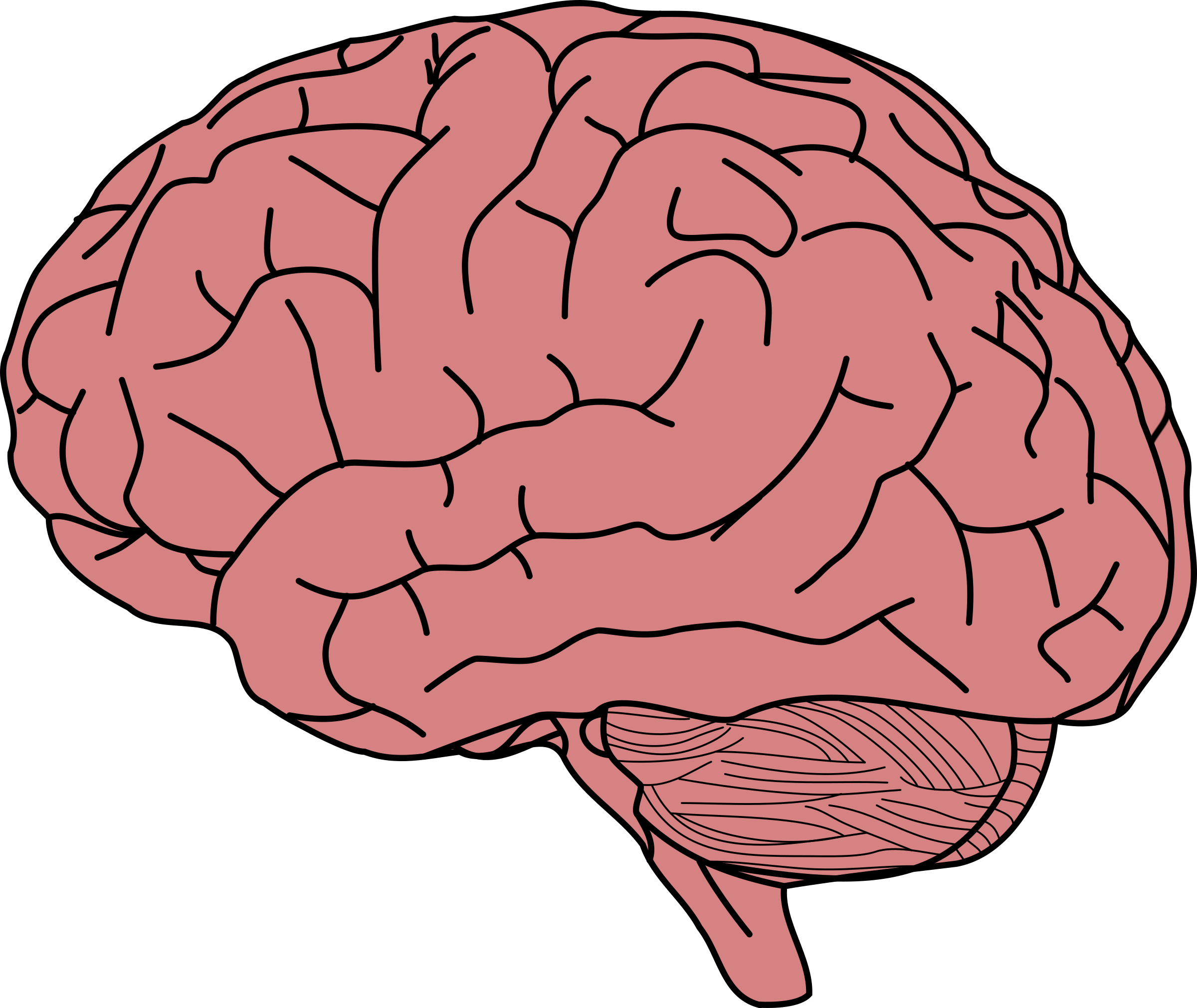 Biology, Consciousness, & NHI
